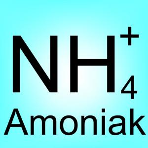 Stanovení amonných iontů