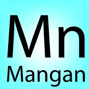 Stanovení manganu